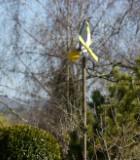 Am 20. März, um 23:45 Uhr, beginnt aus astronomischer Sicht der Frühling. <br>